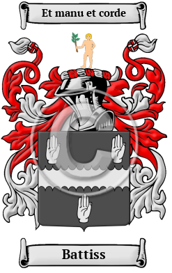 Battiss Family Crest/Coat of Arms