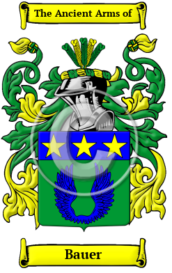 Bauer Name Meaning, Family History, Family Crest & Coats of Arms