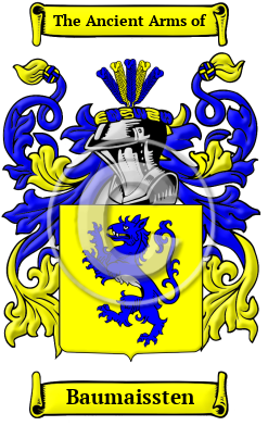 Baumaissten Family Crest/Coat of Arms