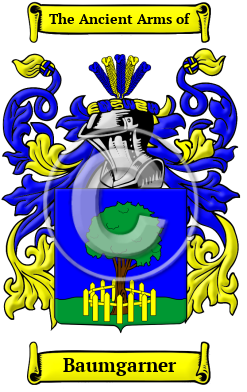 Baumgarner Family Crest/Coat of Arms