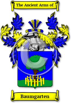 Baumgarten Family Crest Download (jpg) Legacy Series - 150 DPI