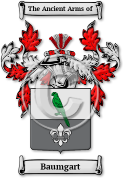 Baumgart Family Crest Download (jpg) Legacy Series - 150 DPI