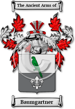 Baumgartner Family Crest Download (jpg) Legacy Series - 150 DPI