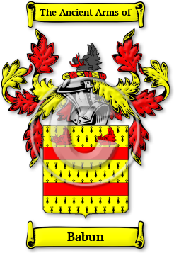 Babun Family Crest Download (jpg) Legacy Series - 150 DPI