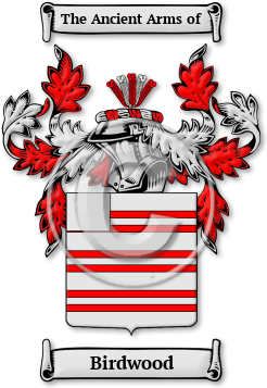 Birdwood Family Crest Download (jpg) Legacy Series - 150 DPI
