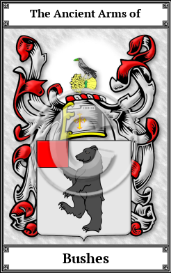 Bushes Family Crest Download (JPG)  Book Plated - 150 DPI