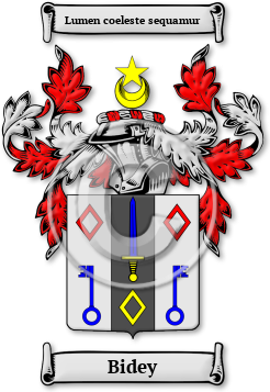 Bidey Family Crest Download (jpg) Legacy Series - 150 DPI