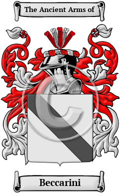 Beccarini Family Crest/Coat of Arms