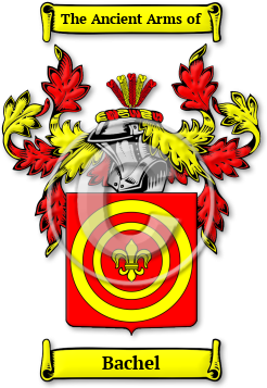 Bachel Family Crest Download (jpg) Legacy Series - 150 DPI