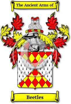 Beetles Family Crest Download (JPG) Legacy Series - 600 DPI