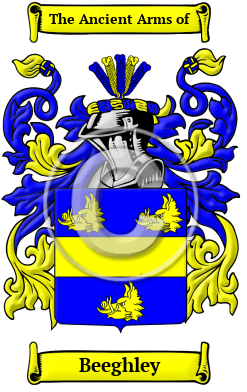 Beeghley Family Crest/Coat of Arms