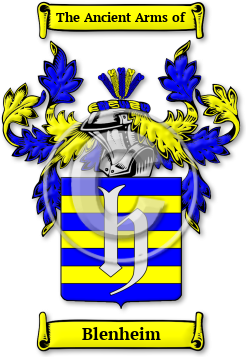 Blenheim Family Crest Download (jpg) Legacy Series - 150 DPI