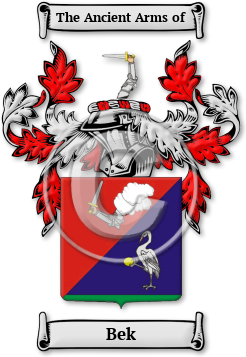 Bek Family Crest Download (jpg) Legacy Series - 150 DPI