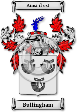 Bullingham Family Crest Download (jpg) Legacy Series - 150 DPI
