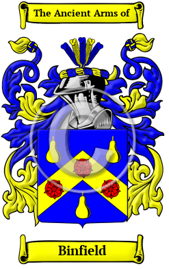 Binfield Family Crest/Coat of Arms