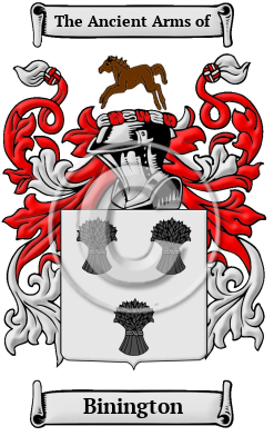 Binington Family Crest/Coat of Arms
