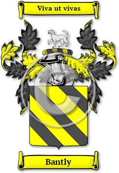 Bantly Family Crest Download (jpg) Legacy Series - 150 DPI