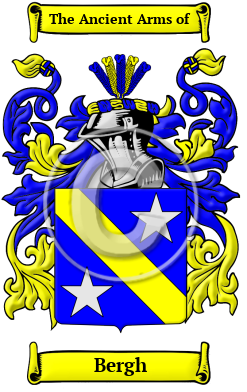 Bergh Family Crest/Coat of Arms