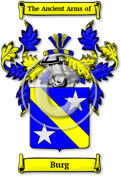 Burg Family Crest Download (jpg) Legacy Series - 150 DPI