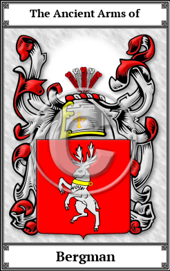 Bergman Family Crest Download (JPG)  Book Plated - 150 DPI