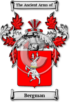 Bergman Family Crest Download (jpg) Legacy Series - 150 DPI