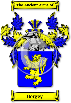 Bergey Family Crest Download (jpg) Legacy Series - 150 DPI