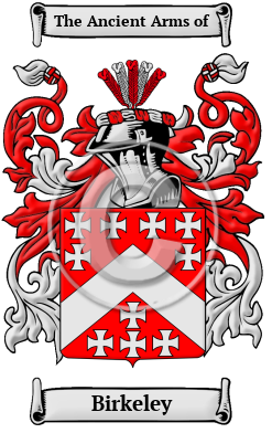 Birkeley Family Crest/Coat of Arms