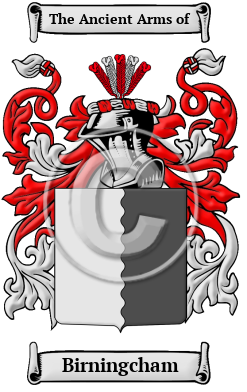 Birningcham Family Crest/Coat of Arms