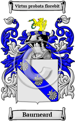 Baurneard Family Crest/Coat of Arms