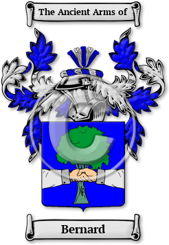 Bernard Family Crest Download (JPG) Legacy Series - 600 DPI