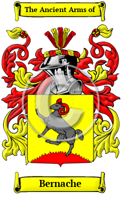 Bernache Family Crest/Coat of Arms
