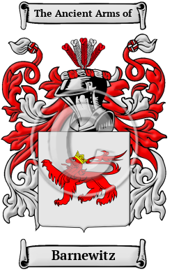 Barnewitz Family Crest/Coat of Arms