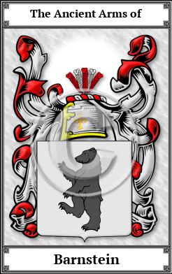 Barnstein Family Crest Download (JPG) Book Plated - 600 DPI