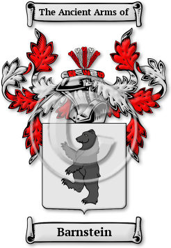 Barnstein Family Crest Download (JPG) Legacy Series - 600 DPI
