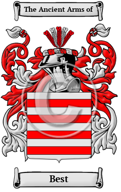 Best Family Crest/Coat of Arms