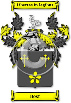 Best Family Crest Download (jpg) Legacy Series - 150 DPI