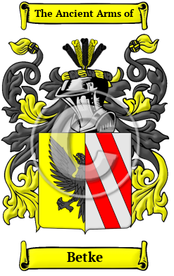 Betke Family Crest/Coat of Arms