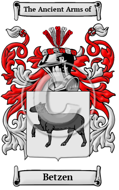 Betzen Family Crest/Coat of Arms
