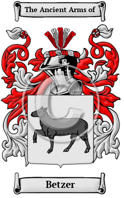Betzer Family Crest Download (JPG) Heritage Series - 600 DPI