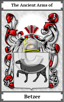 Betzer Family Crest Download (JPG)  Book Plated - 150 DPI