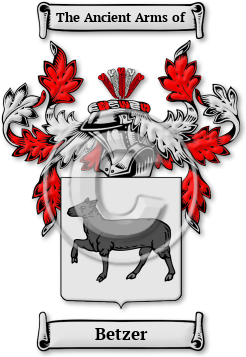 Betzer Family Crest Download (jpg) Legacy Series - 150 DPI