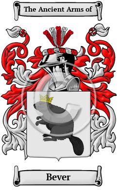 Bever Name Meaning, Family History, Family Crest & Coats of Arms, German