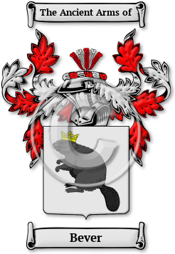 Bever Family Crest Download (jpg) Legacy Series - 150 DPI