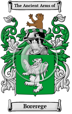 Borerege Family Crest/Coat of Arms