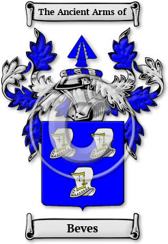 Beves Family Crest Download (jpg) Legacy Series - 150 DPI