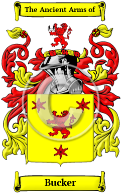 Bucker Family Crest/Coat of Arms