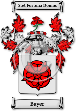 Bayer Family Crest Download (jpg) Legacy Series - 150 DPI