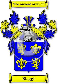 Biaggi Family Crest Download (jpg) Legacy Series - 150 DPI