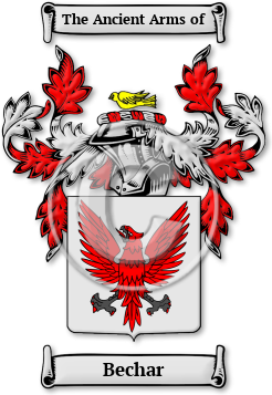 Bechar Family Crest Download (jpg) Legacy Series - 150 DPI