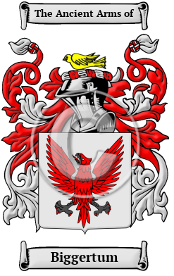 Biggertum Family Crest/Coat of Arms